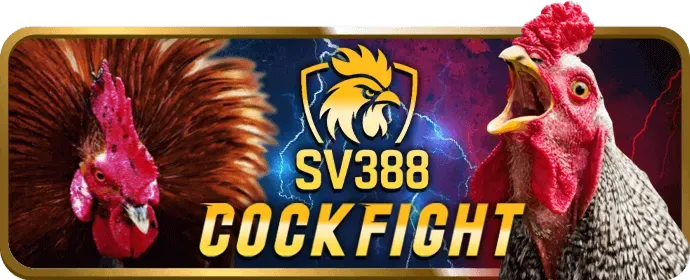 Game thủ eSports đang thi đấu